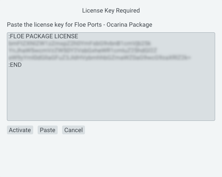 License key prompt
